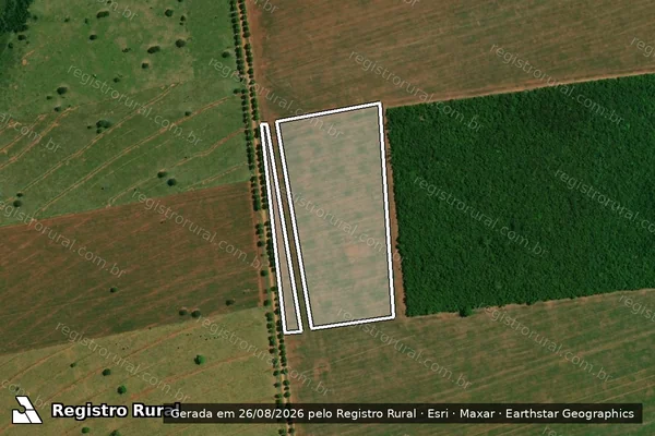 Imagem de satélite de Infração da Flora em Ivinhema - MS