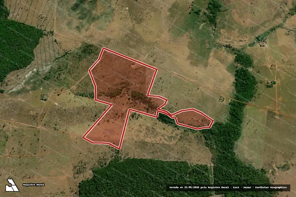 Imagem de satélite de Infração da Flora em Novo Progresso - PA