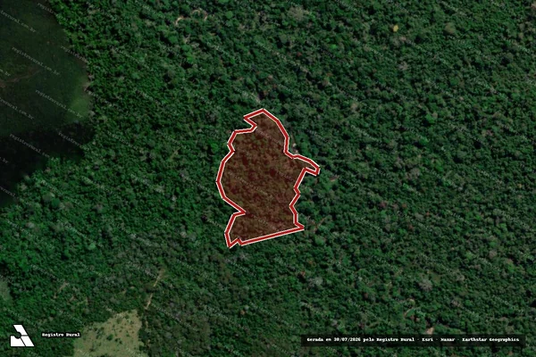 Imagem de satélite de Infração da Flora em Placas - PA
