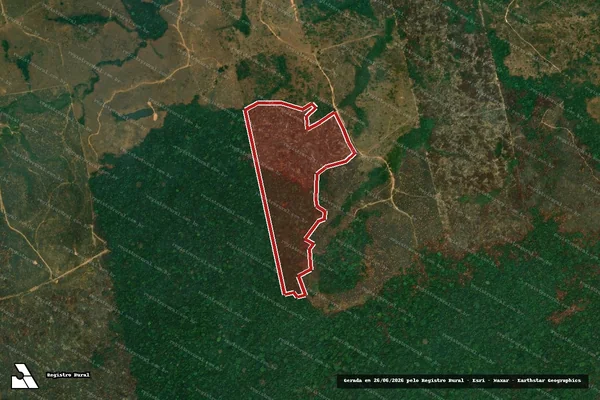 Imagem de satélite de Infração da Flora em Trairão - PA