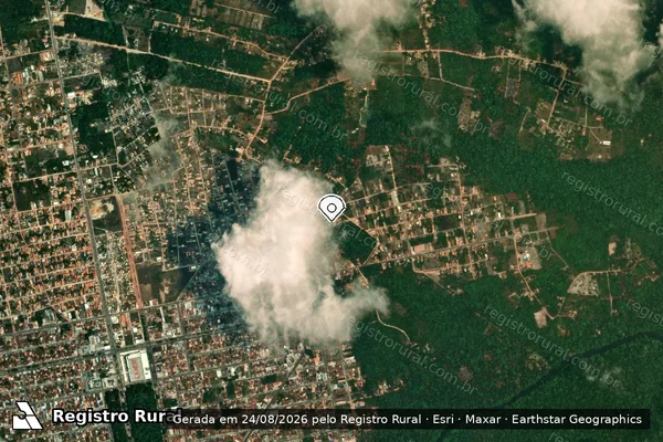 Imagem de satélite — Embargo IBAMA — Infração da Flora — Barcarena/PA