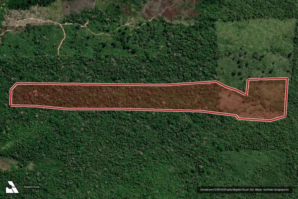 Imagem de satélite de Infração da Flora em Cotriguaçu - MT