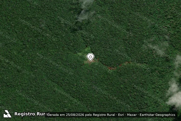Imagem de satélite — Embargo Ambiental - Ferreira Gomes/AP