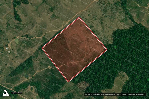 Imagem de satélite de Infração da Flora em Feijó - AC
