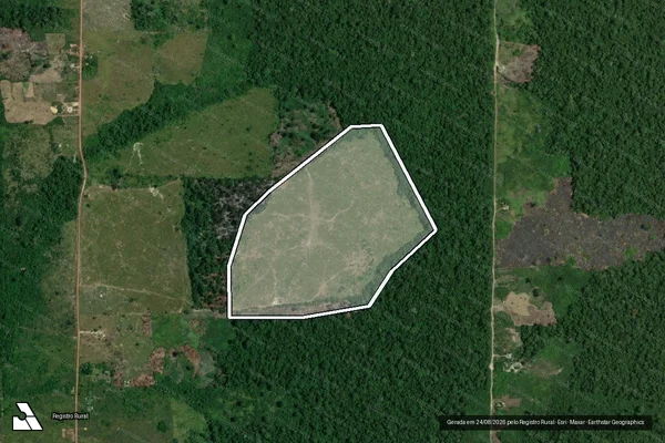 Imagem de satélite de Infração da Flora em Rorainópolis - RR