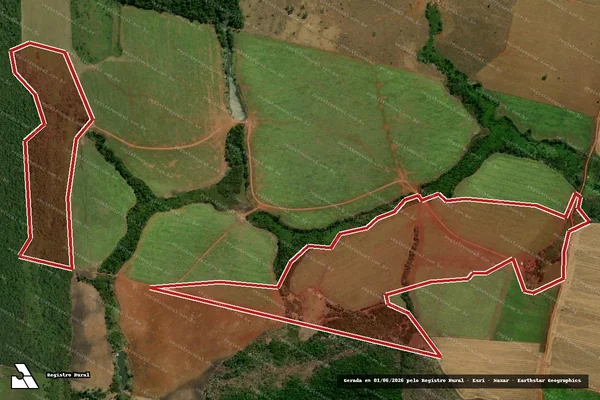 Imagem de satélite de Infração da Flora em Novo Progresso - PA