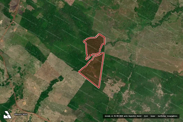 Imagem de satélite de Infração da Flora em Alenquer - PA