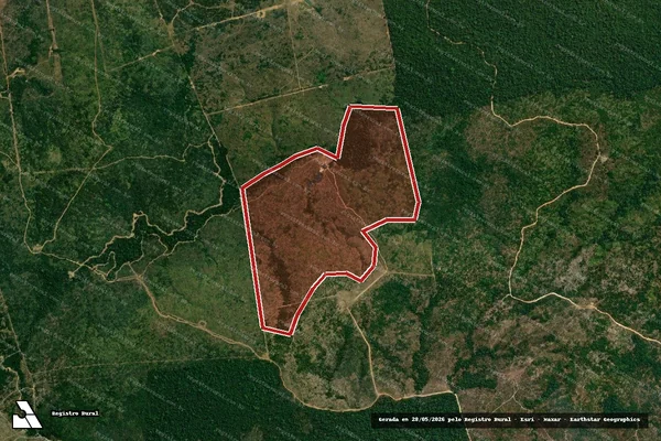 Imagem de satélite de Infração da Flora em Apiacás - MT