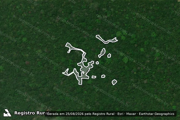 Imagem de satélite de Infração da Flora em Caracaraí - RR