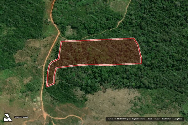 Imagem de satélite de Infração da Flora em Pacajá - PA