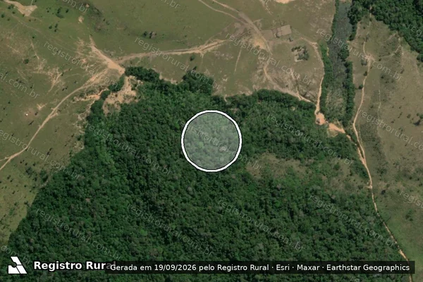 Imagem de satélite — Embargo IBAMA — Infração Ambiental - Uruará/PA