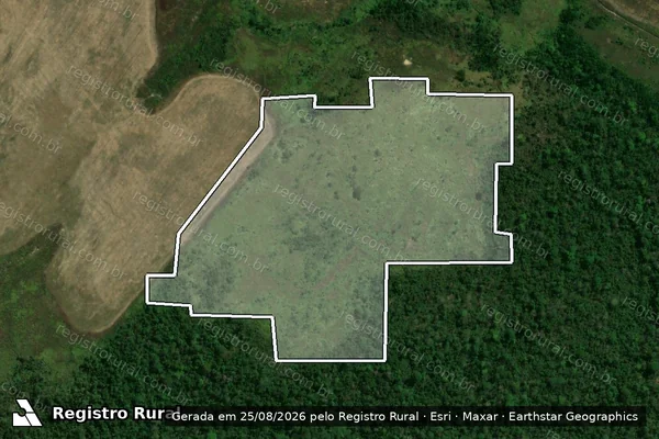 Imagem de satélite de Infração Ambiental em São Félix do Xingu - PA
