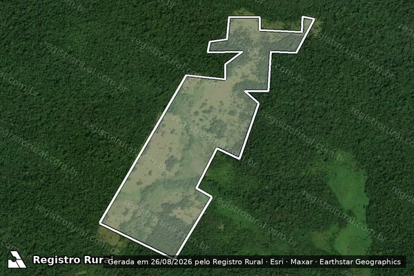 Imagem de satélite de Infração Ambiental em Caracaraí - RR