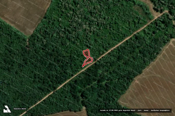 Imagem de satélite de Infração da Flora em Ipiranga - PR