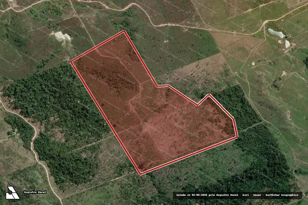 Imagem de satélite de Infração Ambiental em Novo Progresso - PA