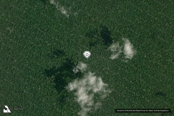 Imagem de satélite — Embargo IBAMA — Infração da Flora - Belém/PA