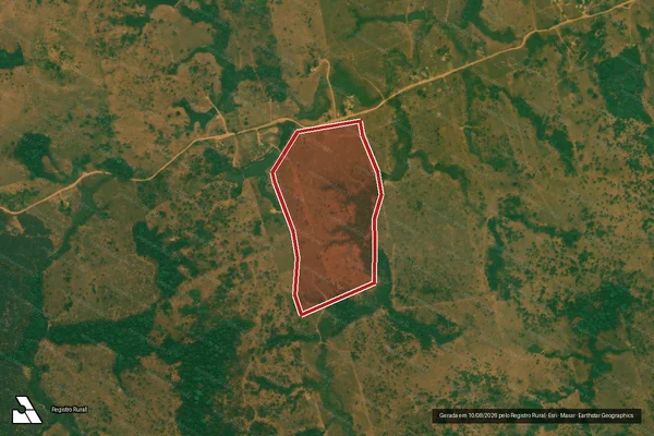 Imagem de satélite de Desmatamento em Porto Velho - RO
