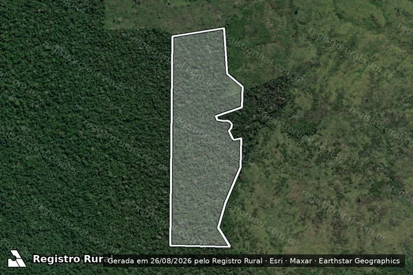 Imagem de satélite de Infração da Flora em Lábrea - AM