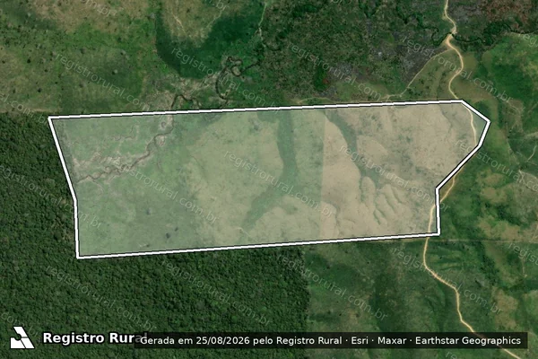 Imagem de satélite de Infração Ambiental em Pacajá - PA