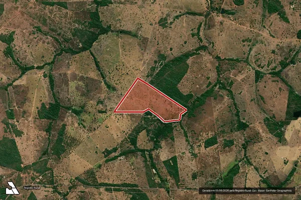 Imagem de satélite — Embargo IBAMA — Infração da Flora - Crixás/GO