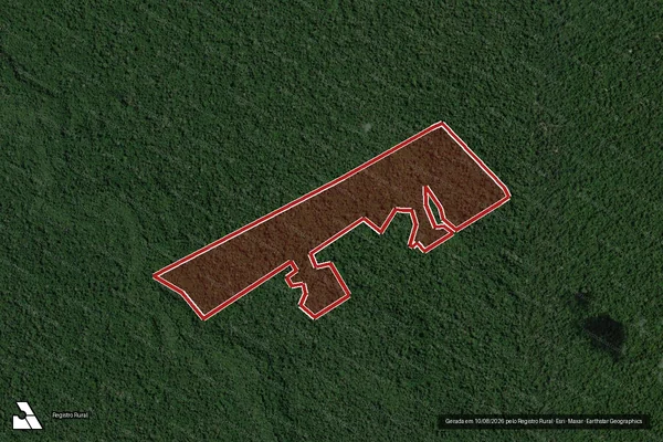 Imagem de satélite de Infração Ambiental em Medicilândia - PA