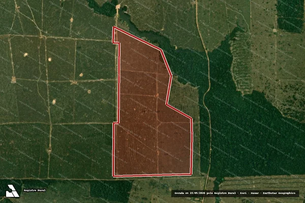 Imagem de satélite de Infração da Flora em Porto Velho - RO