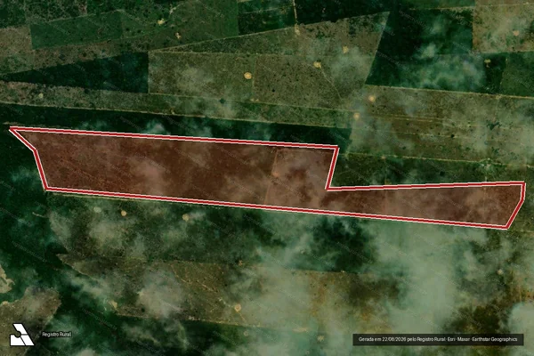 Imagem de satélite de Infração da Flora em Porto Velho - RO