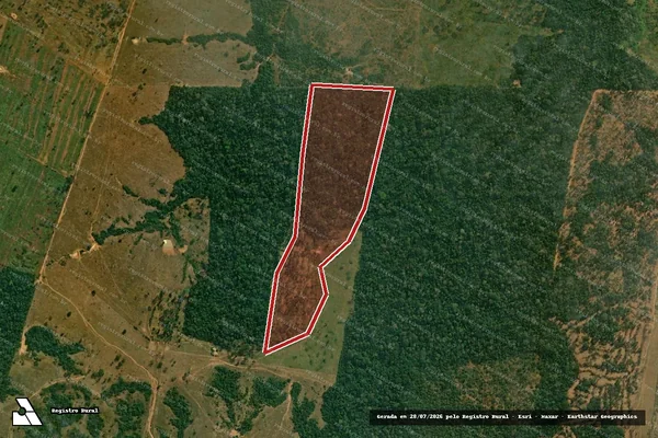 Imagem de satélite de Infração da Flora em Porto Velho - RO