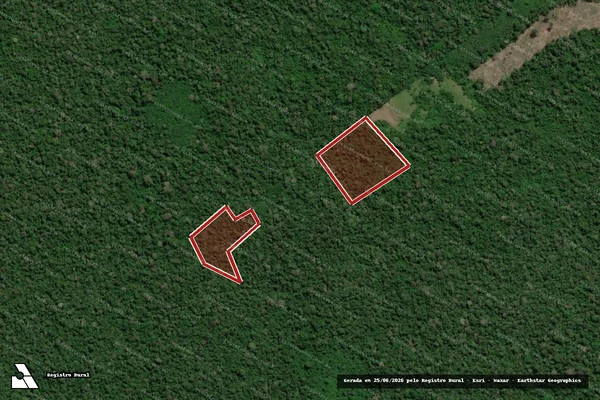 Imagem de satélite — Embargo IBAMA — Infração da Flora — São Luiz/RR