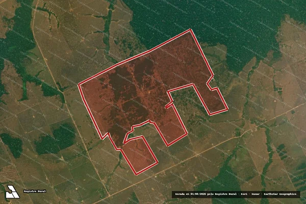 Imagem de satélite de Infração da Flora em Lábrea - AM