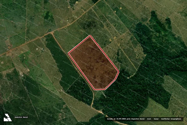 Imagem de satélite de Infração da Flora em Porto Velho - RO