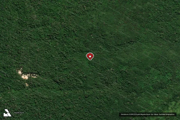 Imagem de satélite de Infração Ambiental em Itaituba - PA (marcador da localização)