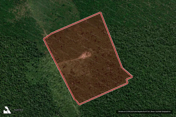 Imagem de satélite de Infração da Flora em Porto Velho - RO