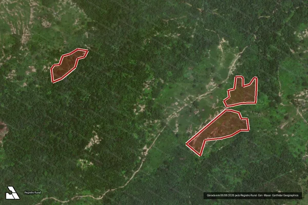 Imagem de satélite de Infração da Flora em Corumbá - MS