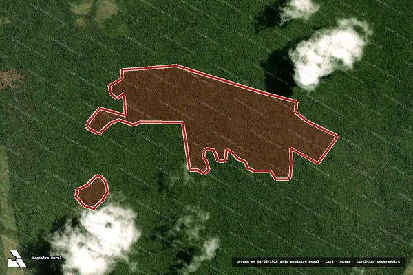 Imagem de satélite de Infração da Flora em Portel - PA