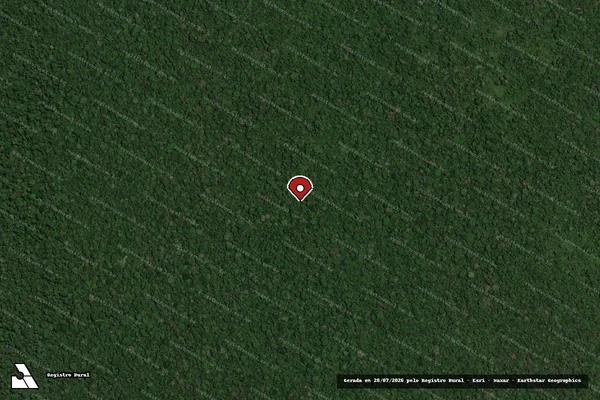 Imagem de satélite de Infração da Flora em Porto Velho - RO (marcador da localização)