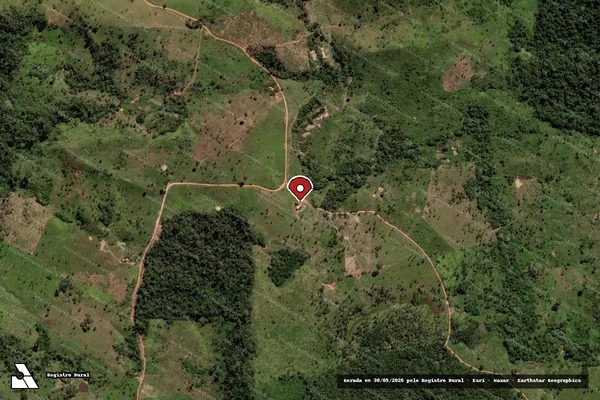 Imagem de satélite de Infração da Flora em São Félix do Xingu - PA (marcador da localização)