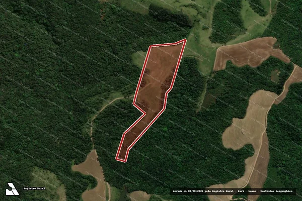 Imagem de satélite de Infração da Flora em Prudentópolis - PR