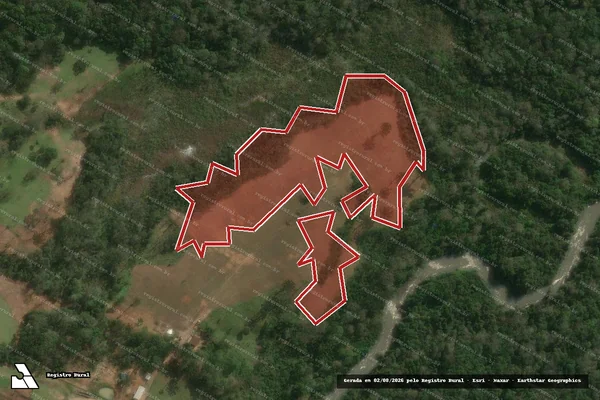 Imagem de satélite de Infração da Flora em Jaguariaíva - PR