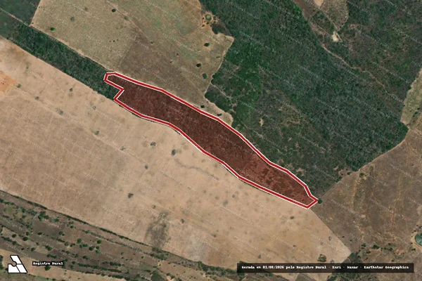 Imagem de satélite — Embargo IBAMA — Infração da Flora — Neópolis/SE
