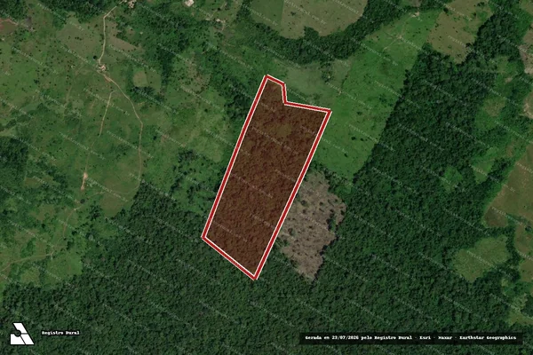 Imagem de satélite — Embargo IBAMA — Infração da Flora - Oriximiná/PA