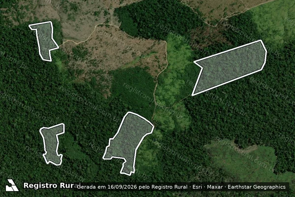 Imagem de satélite de Infração da Flora em Portel - PA