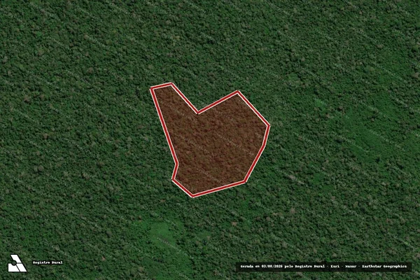 Imagem de satélite de Infração Ambiental em São João da Baliza - RR