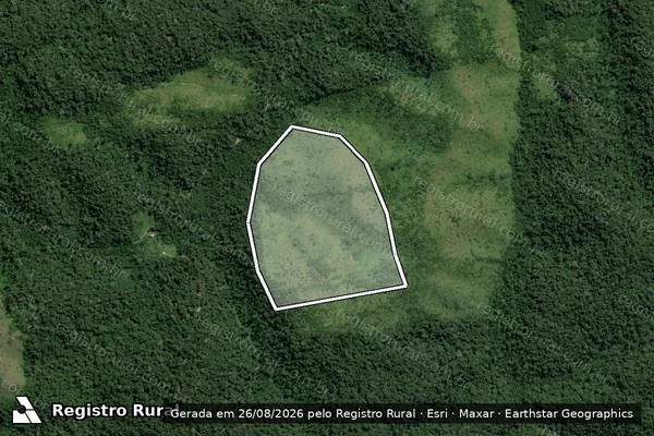 Imagem de satélite de Infração Ambiental em Placas - PA