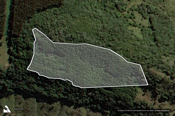 Imagem de satélite de Infração Ambiental em Pinhão - PR