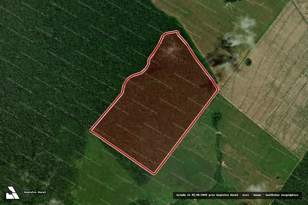 Imagem de satélite de Infração Ambiental em Portel - PA