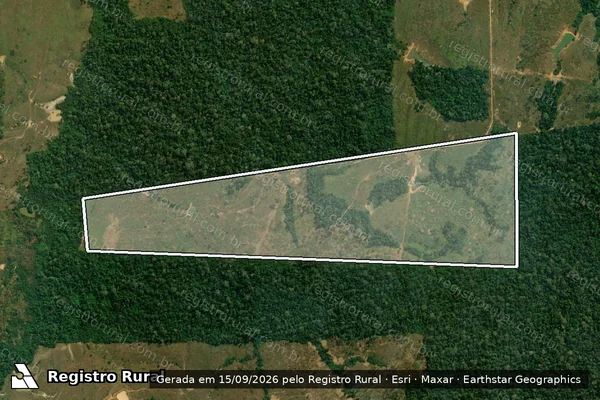 Imagem de satélite — Embargo IBAMA — Infração da Flora - Porto Velho/RO