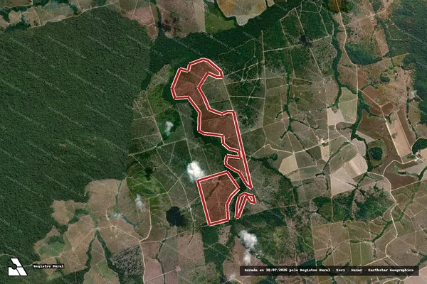 Imagem de satélite de Infração da Flora em Novo Progresso - PA