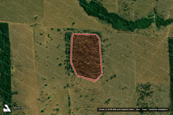 Imagem de satélite de Infração da Flora em Buritis - RO