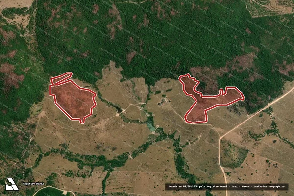 Imagem de satélite de Infração da Flora em Novo Mundo - MT